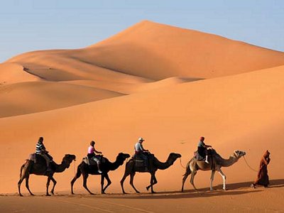A desert caravan